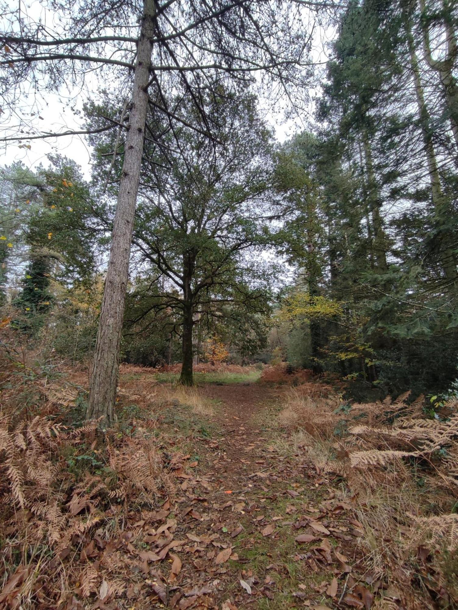 Gite Des Mezieres Brusvily Exterior foto